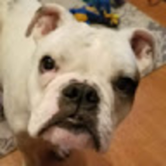 Meet your Posher, Chris - Picture 1 of 1